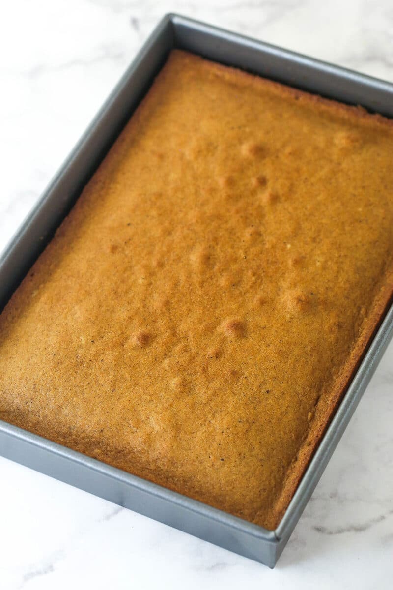 Applesauce cake baked in a pan.