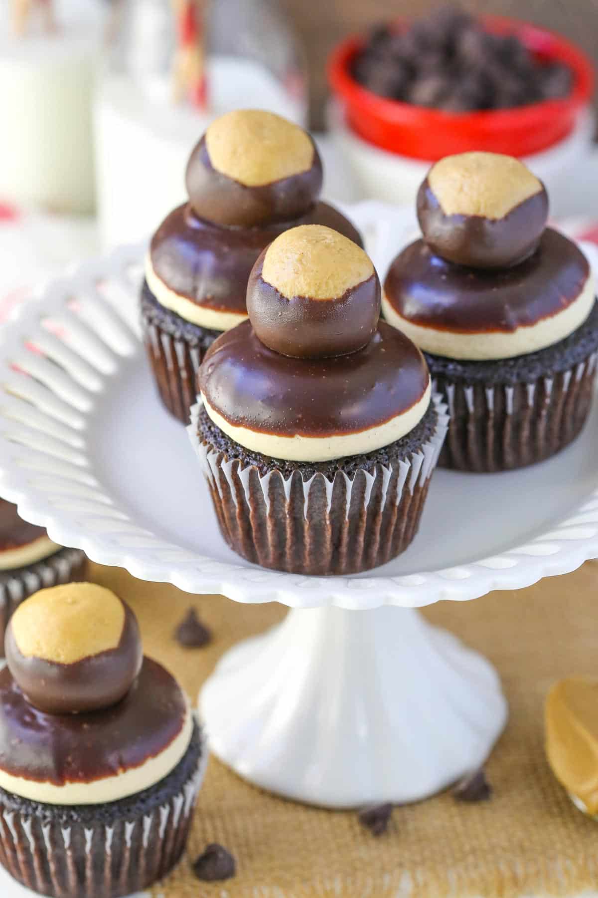 Three peanut butter chocolate buckeye cupcakes on a white cake platter.