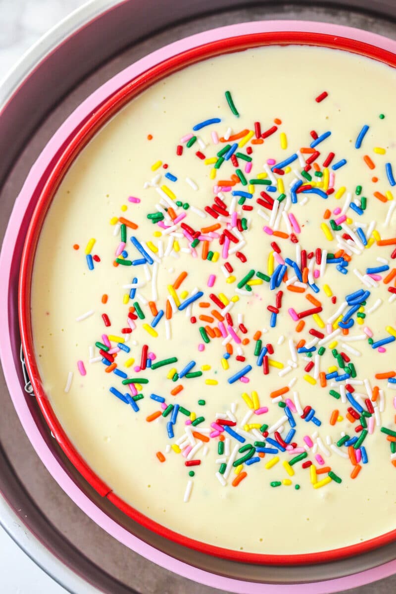Funfetti cheesecake batter in a springform pan in a water bath, ready to be baked.