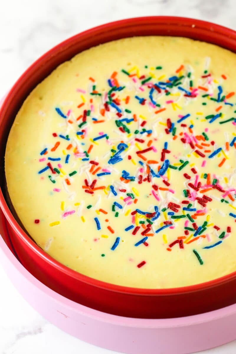 Funfetti cheesecake cooling in te pan.