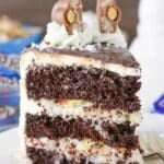 A slice of almond joy layer cake on a small white plate.