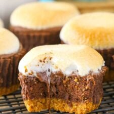 Close up of a mini s'mores cheesecake with a bite taken out of it on a metal rack.