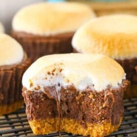 Close up of a mini s'mores cheesecake with a bite taken out of it on a metal rack.
