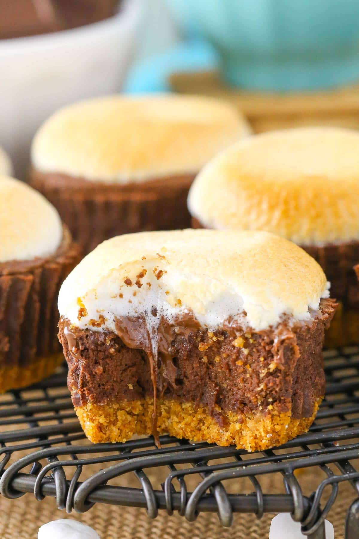 Close up of a mini s'mores cheesecake with a bite taken out of it on a metal rack.