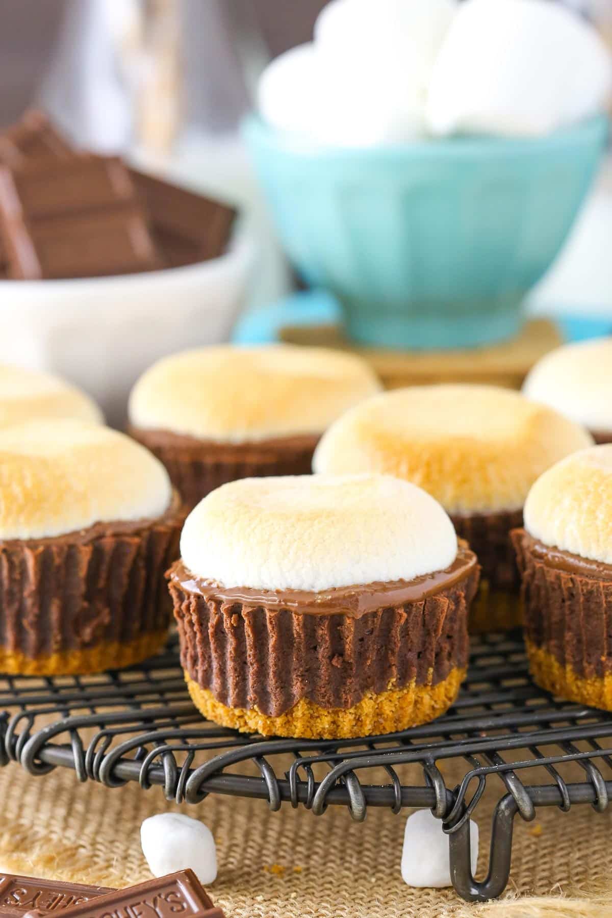 Several mini s'mores cheesecakes on a metal wire rack.