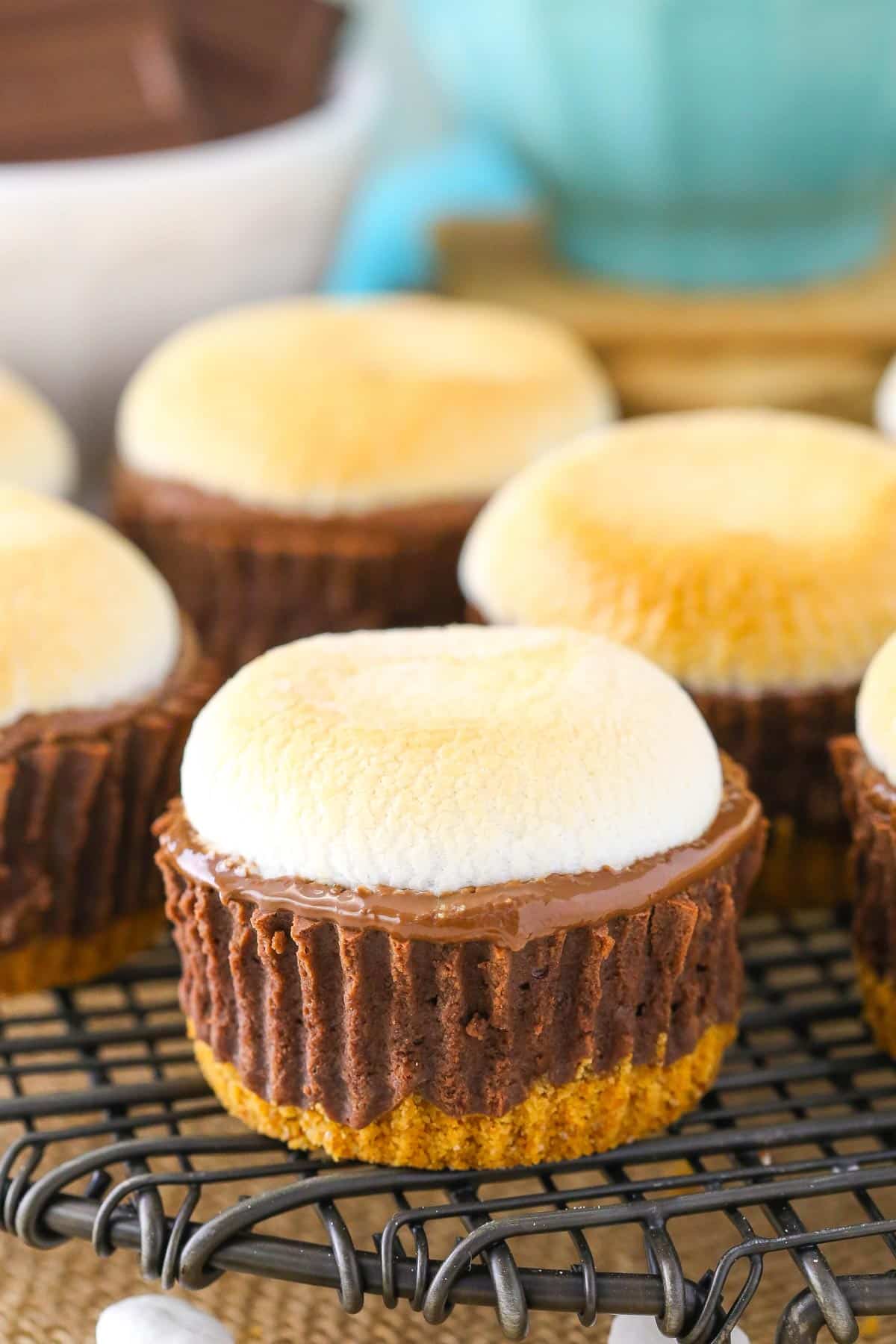 Close up of mini s'mores cheesecakes on a metal rack.