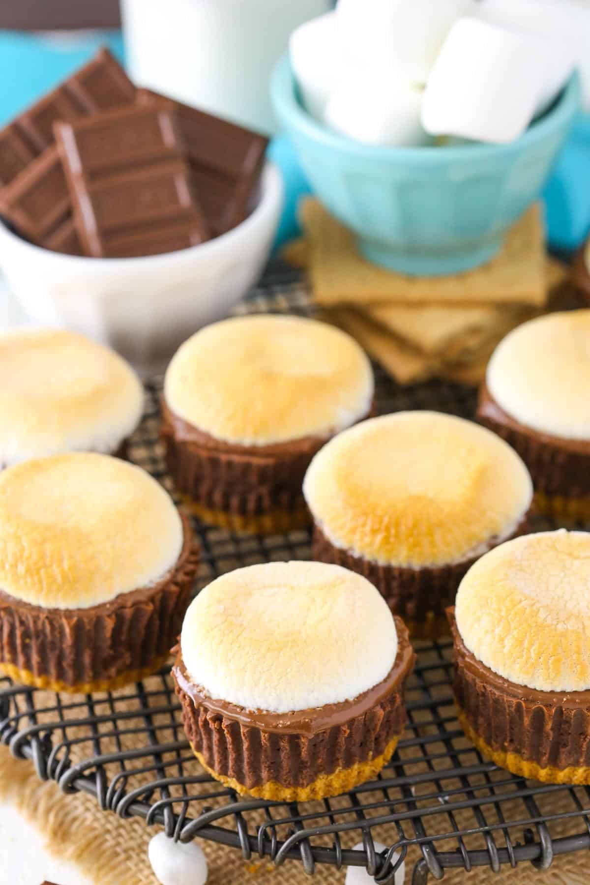 Top view of mini s'mores cheesecakes on a metal rack with s'mores supplies in the background.