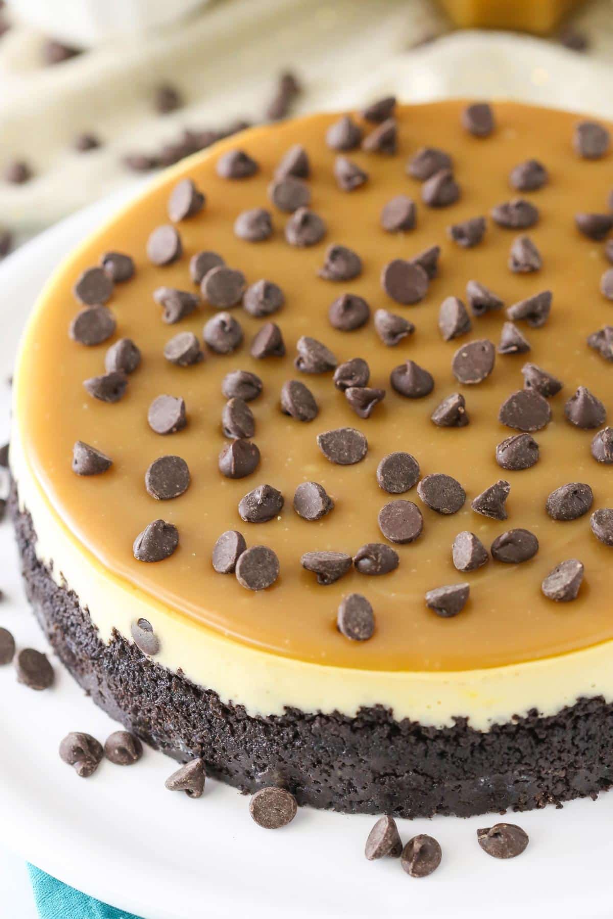 The top of a caramel chocolate chip cheesecake sprinkled with chocolate chips.