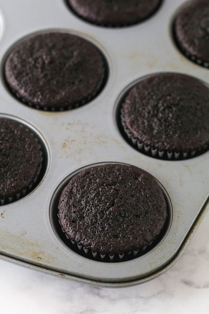 Chocolate cupcakes cooling in the pan.