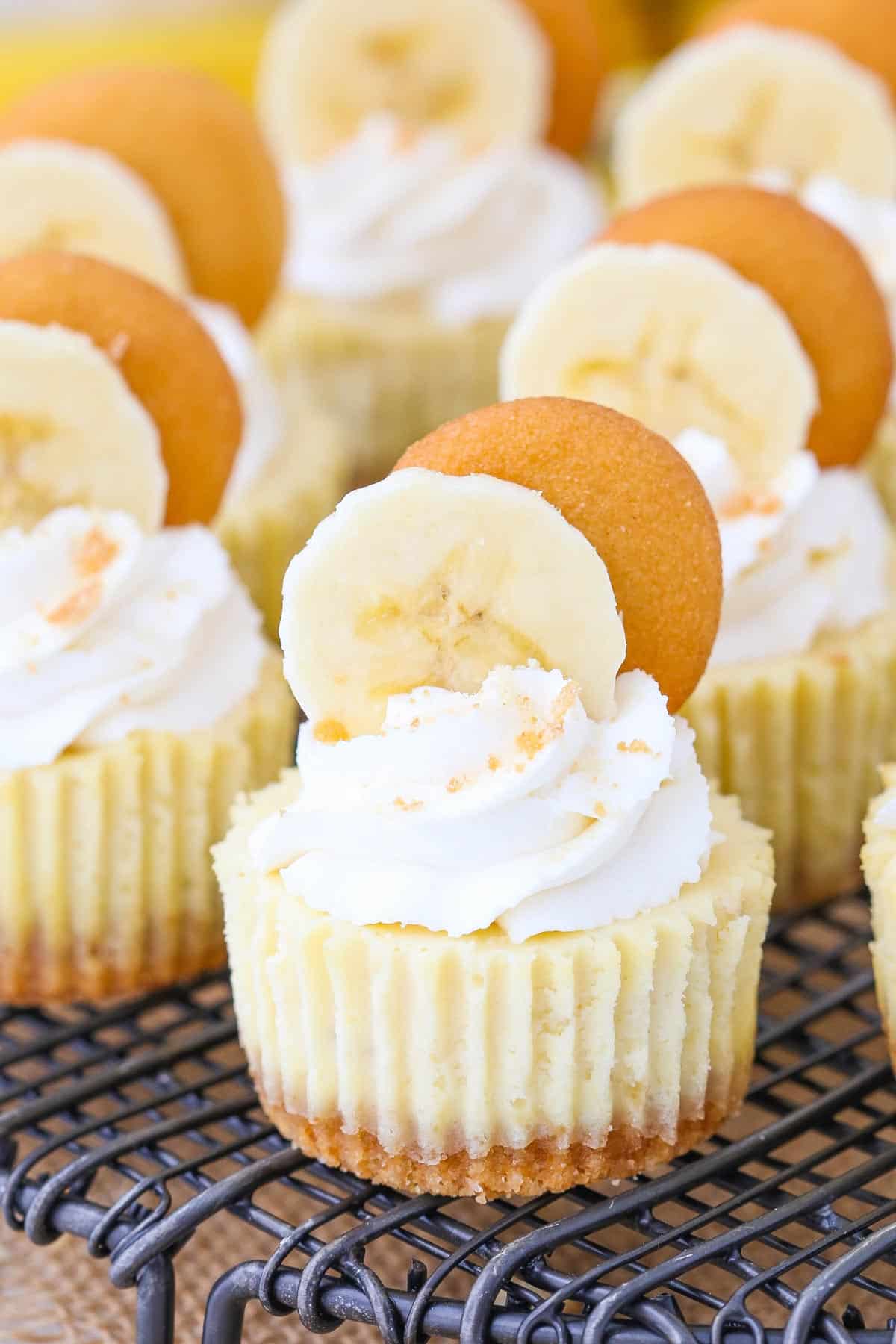 Close up of mini banana pudding cheesecakes.