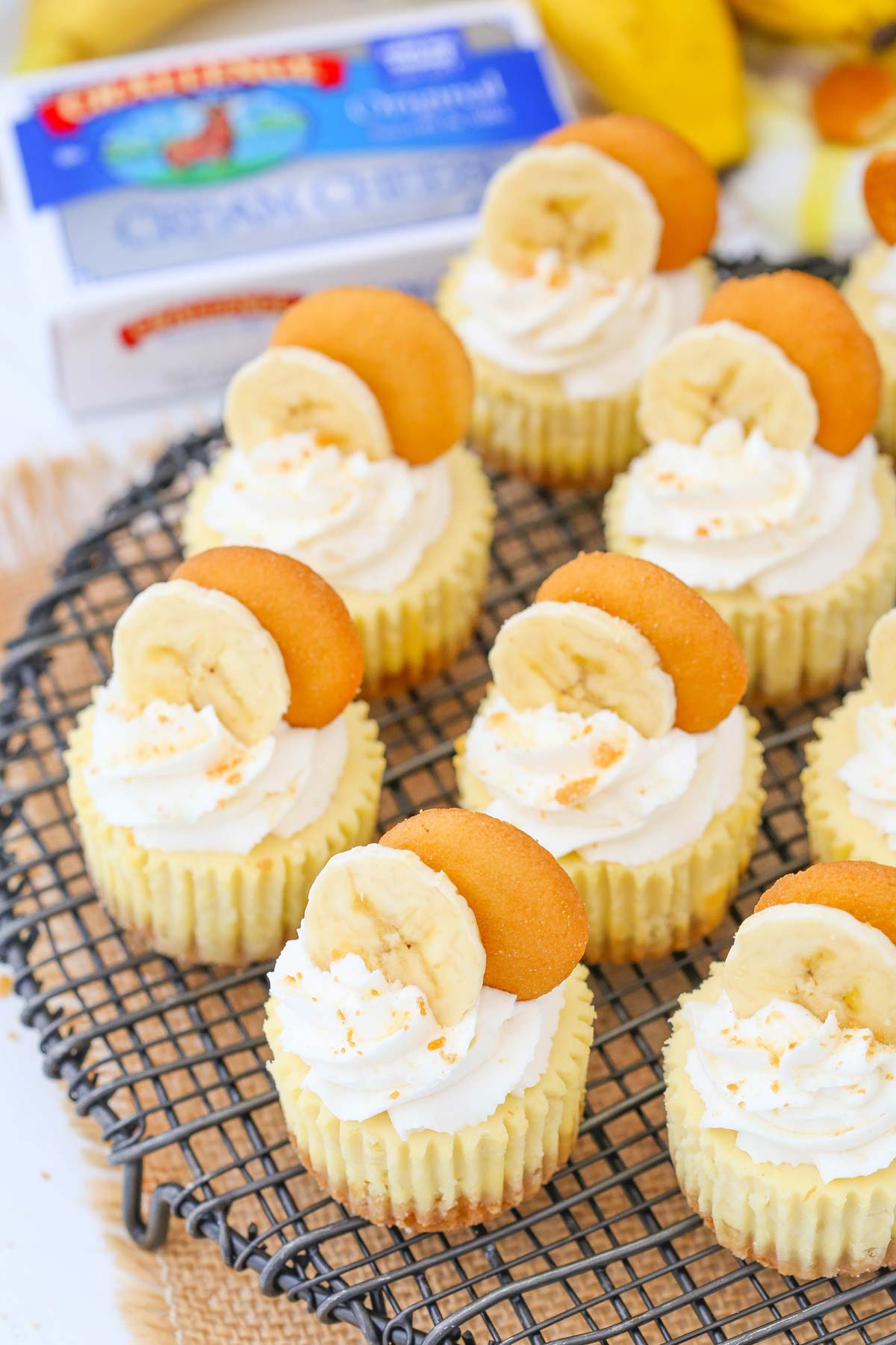 Top view of mini banana pudding cheesecakes on a wire rack.
