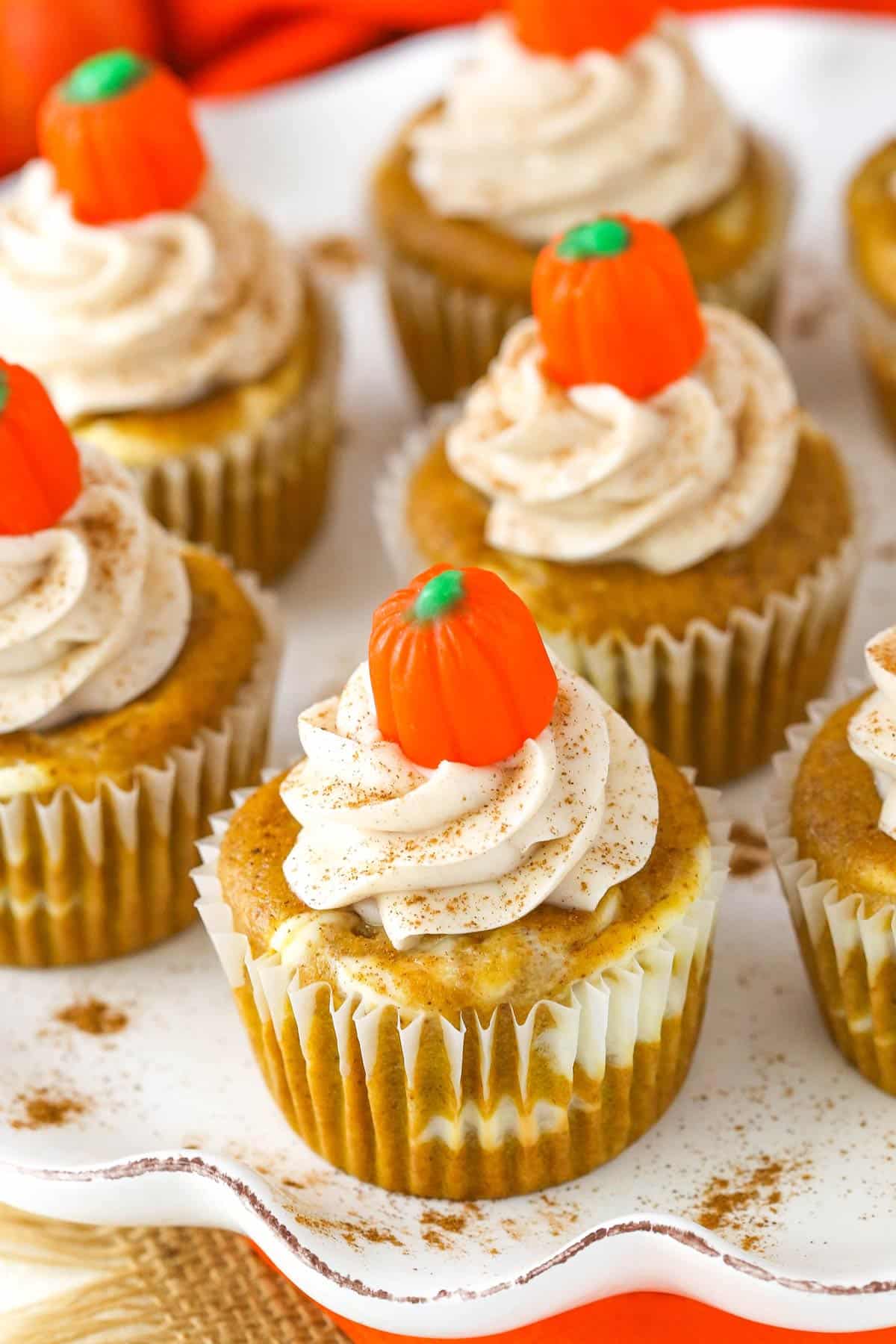 Several pumpkin cheesecake swirl cupcakes on a white platter. 