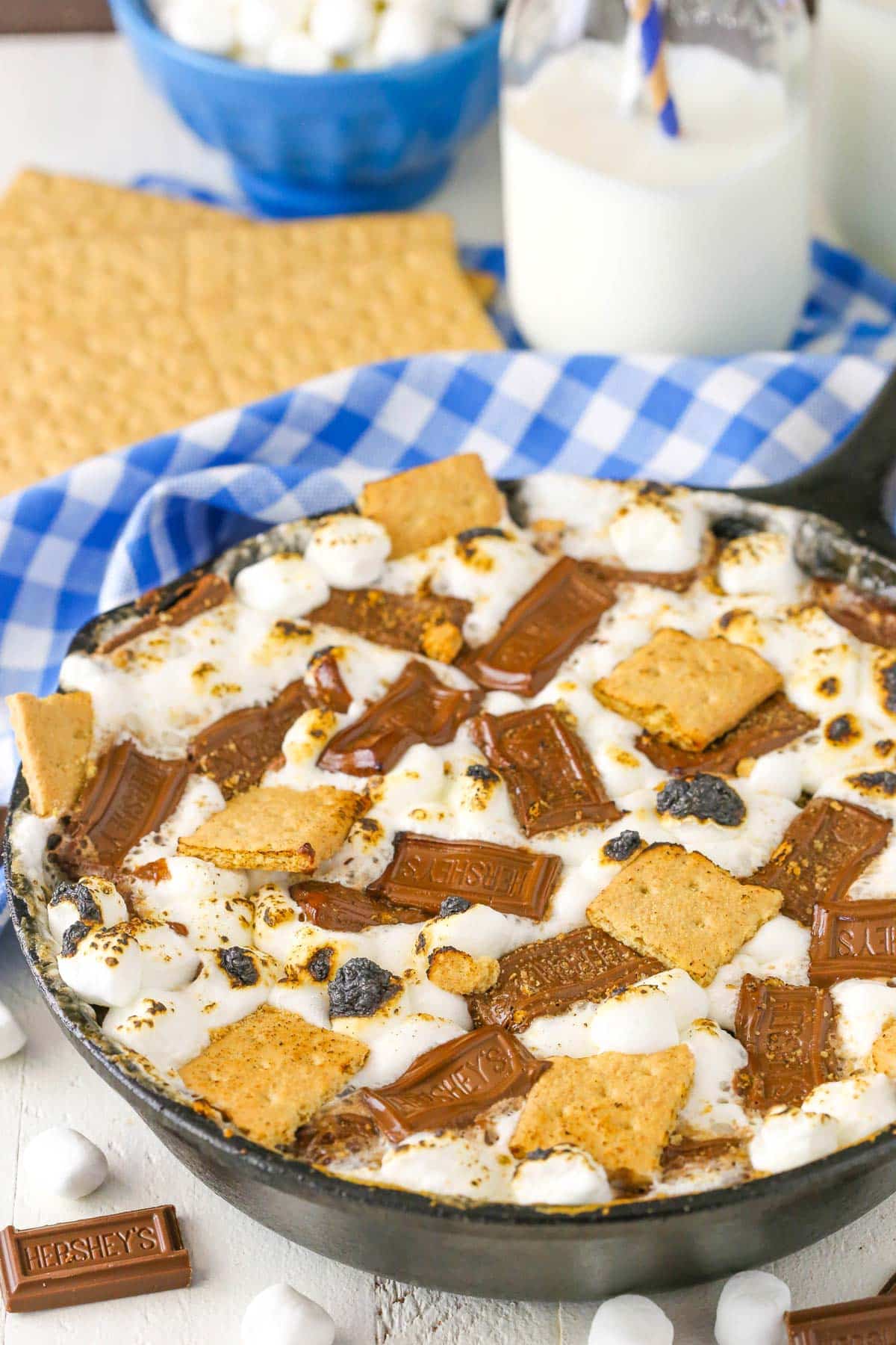 Close up of a pan of s'mores brownies.