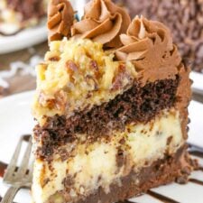 A slice of chocolate coconut cheesecake cake on a white plate.