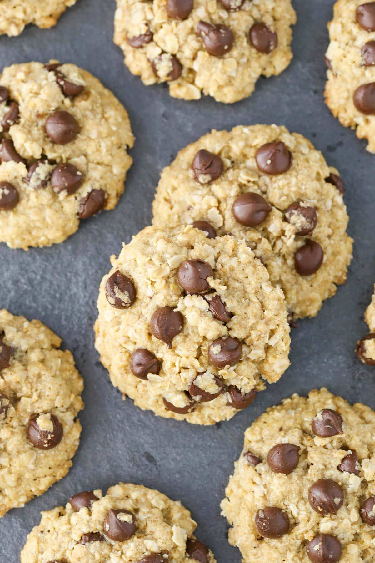 Top view of several gluten and dairy free oatmeal chocolate chip cookies on a dark surface.