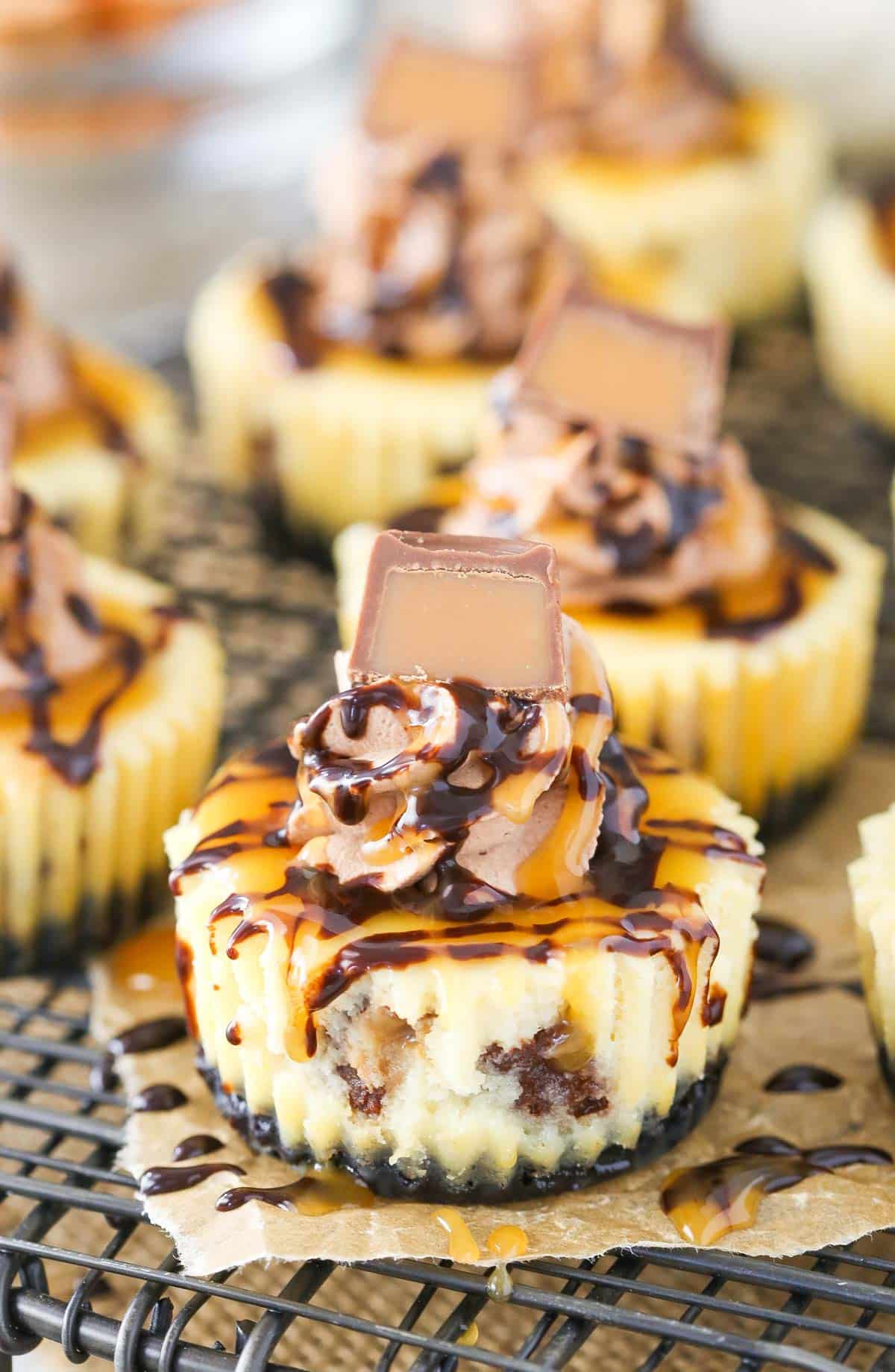 Close up of a mini Rolo cheesecake on a piece of parchment.