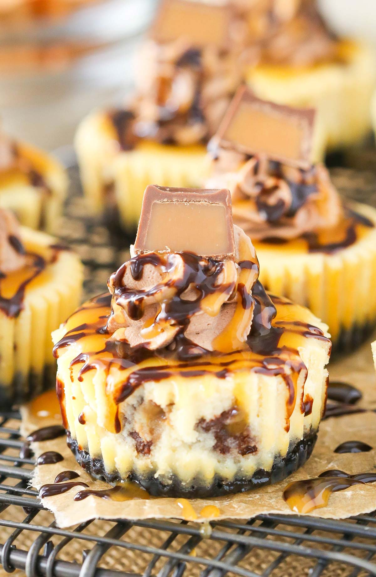 Close up of a mini Rolo cheesecake on a piece of parchment.