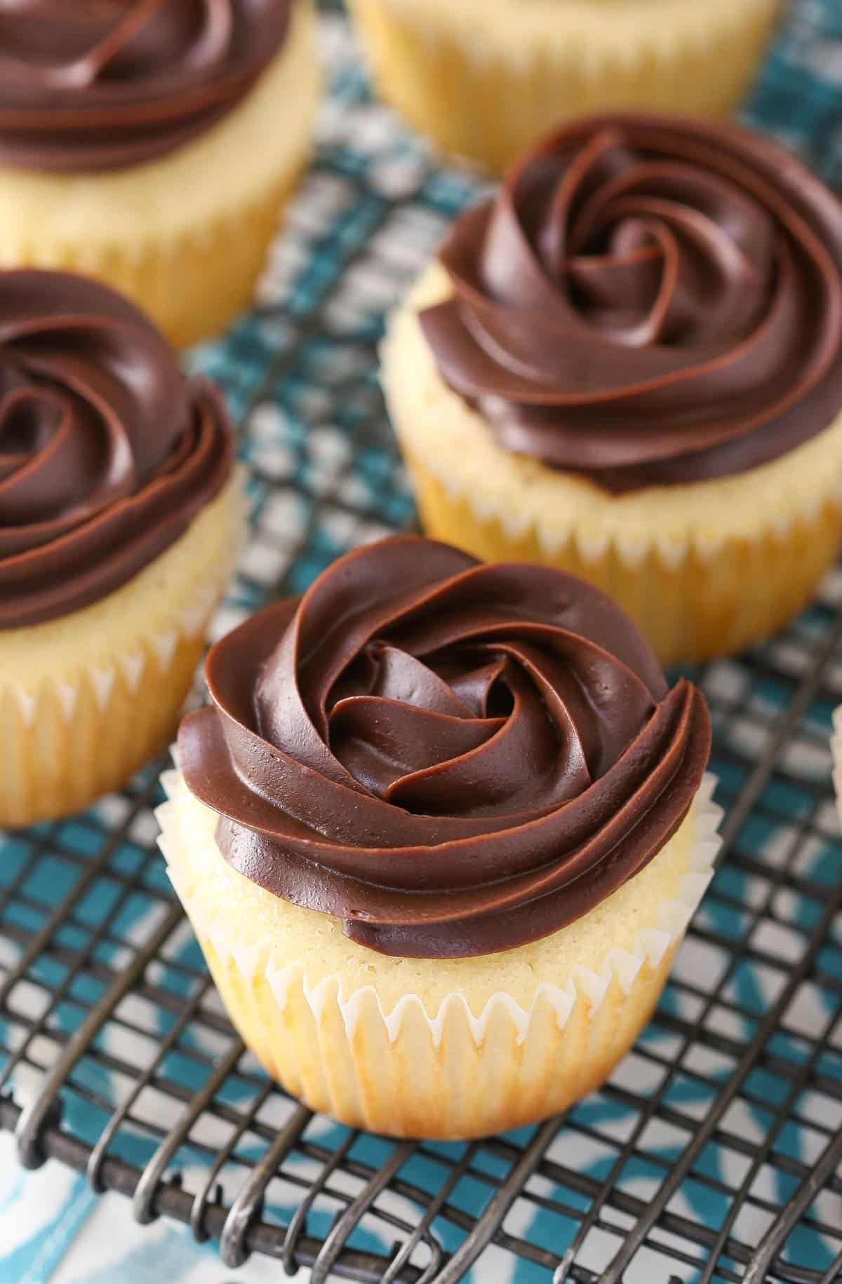 Close up of a Boston cream pie cupcake.