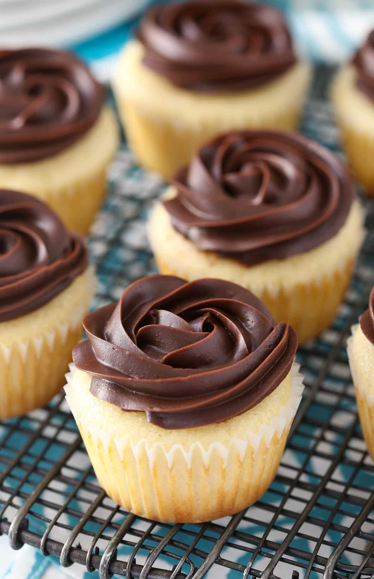 Close up of a Boston cream pie cupcake with more cupcakes in the background.