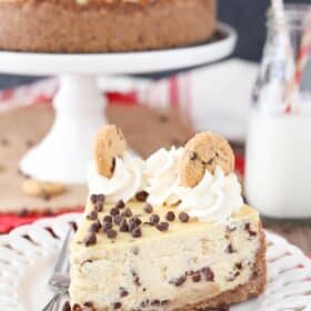 A slice of chocolate chip shortbread cheesecake on a small white plate.