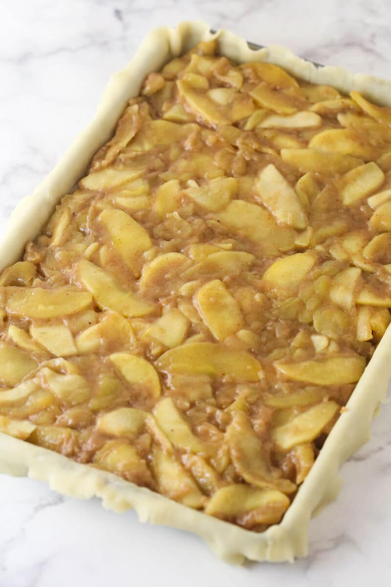 Pie dough filled with apple filling.