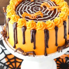A spiderweb chocolate cake on a white cake stand.