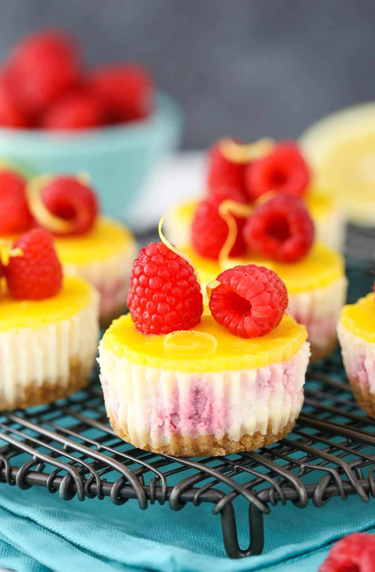 Mini lemon raspberry cheesecakes on a wire rack.