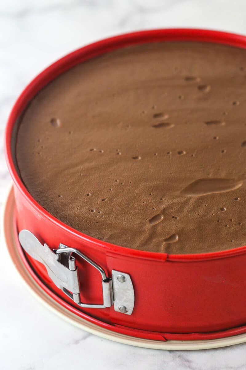Chocolate pudding chilled and set in a springform pan.
