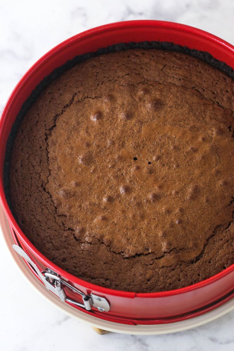 A springform pan lined with an Oreo crust topped with a brownie layer.