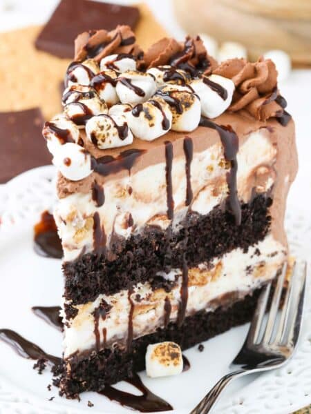 Close up of a slice of s'mores ice cream cake on a white plate.