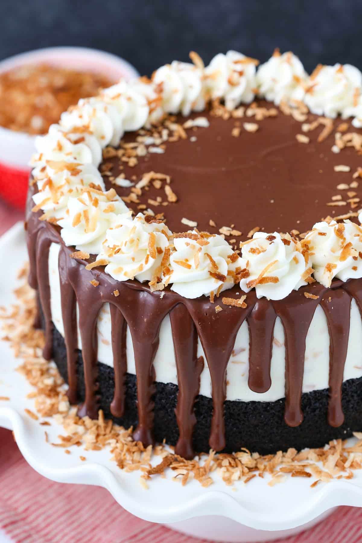 A toasted coconut chocolate ice cream cake on a white plate.
