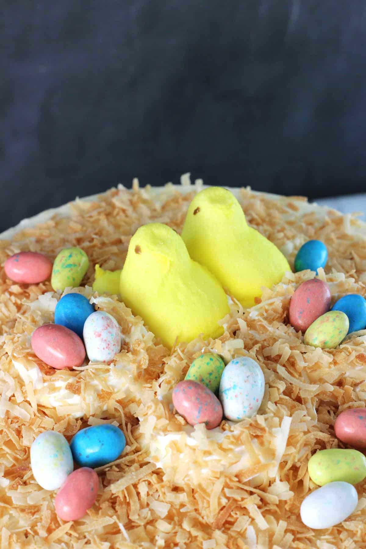 Close up of the top of a coconut blondie cheesecake.