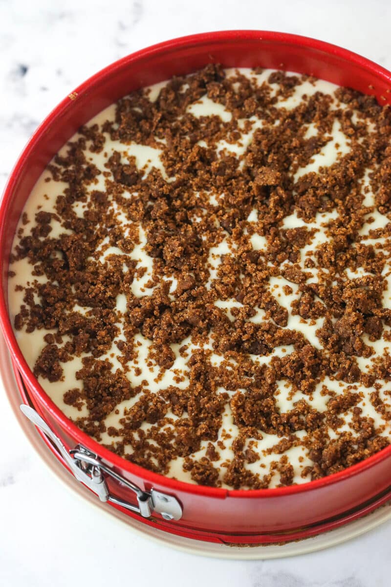 Layering cheesecake batter with cinnamon sugar filling into a springform pan.