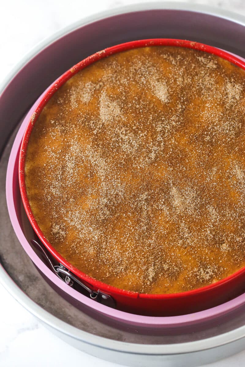 Sprinkling cinnamon sugar over an unbaked snickerdoodle cheesecake.