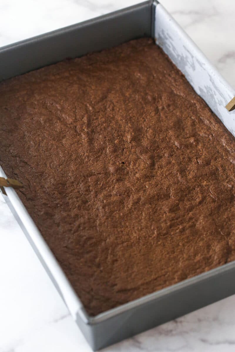 baked brownies in the pan