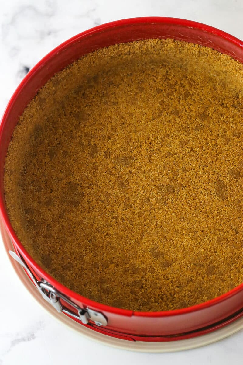 crust pressed into springform pan