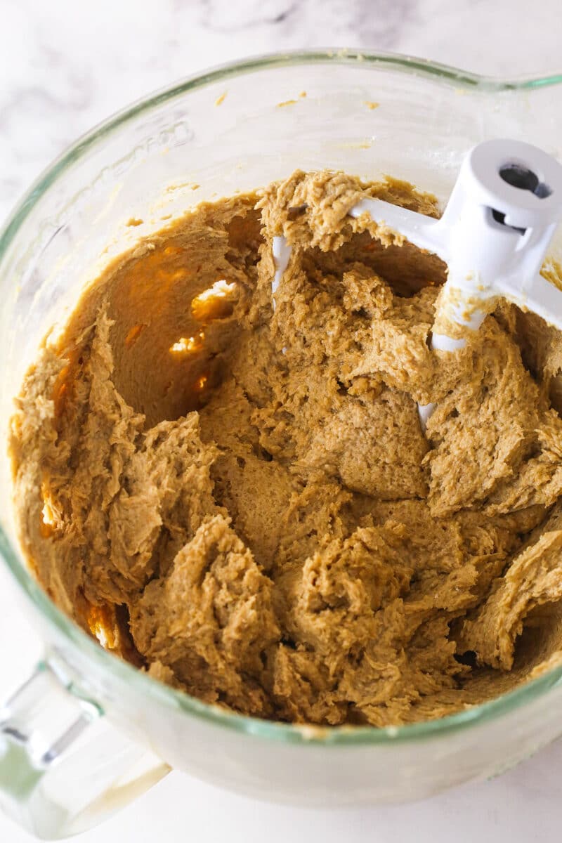 With a Biscoff cookie crust and cookie spread in the filling, this Biscoff Cheesecake tastes just like the cookies. Cream cheese and Biscoff cookie butter mixed in a bowl