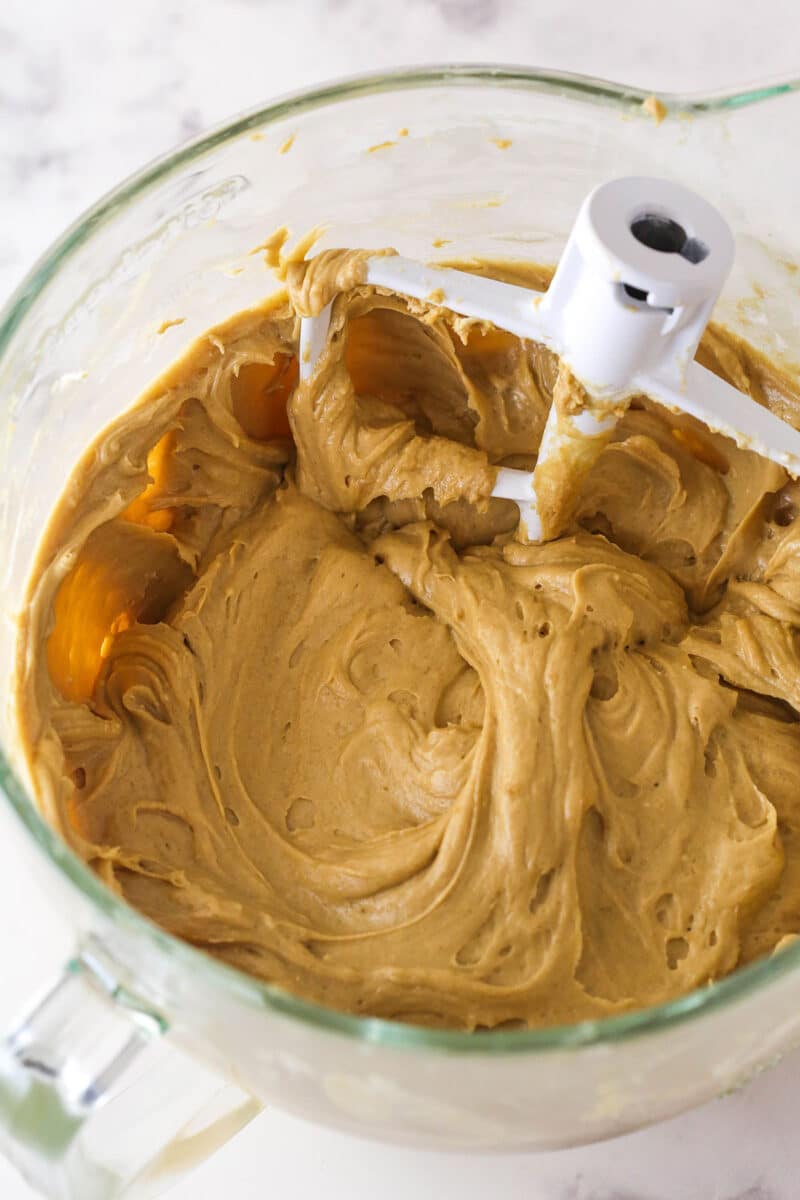 With a Biscoff cookie crust and cookie spread in the filling, this Biscoff Cheesecake tastes just like the cookies. Biscoff cheesecake filling mixed in a bowl