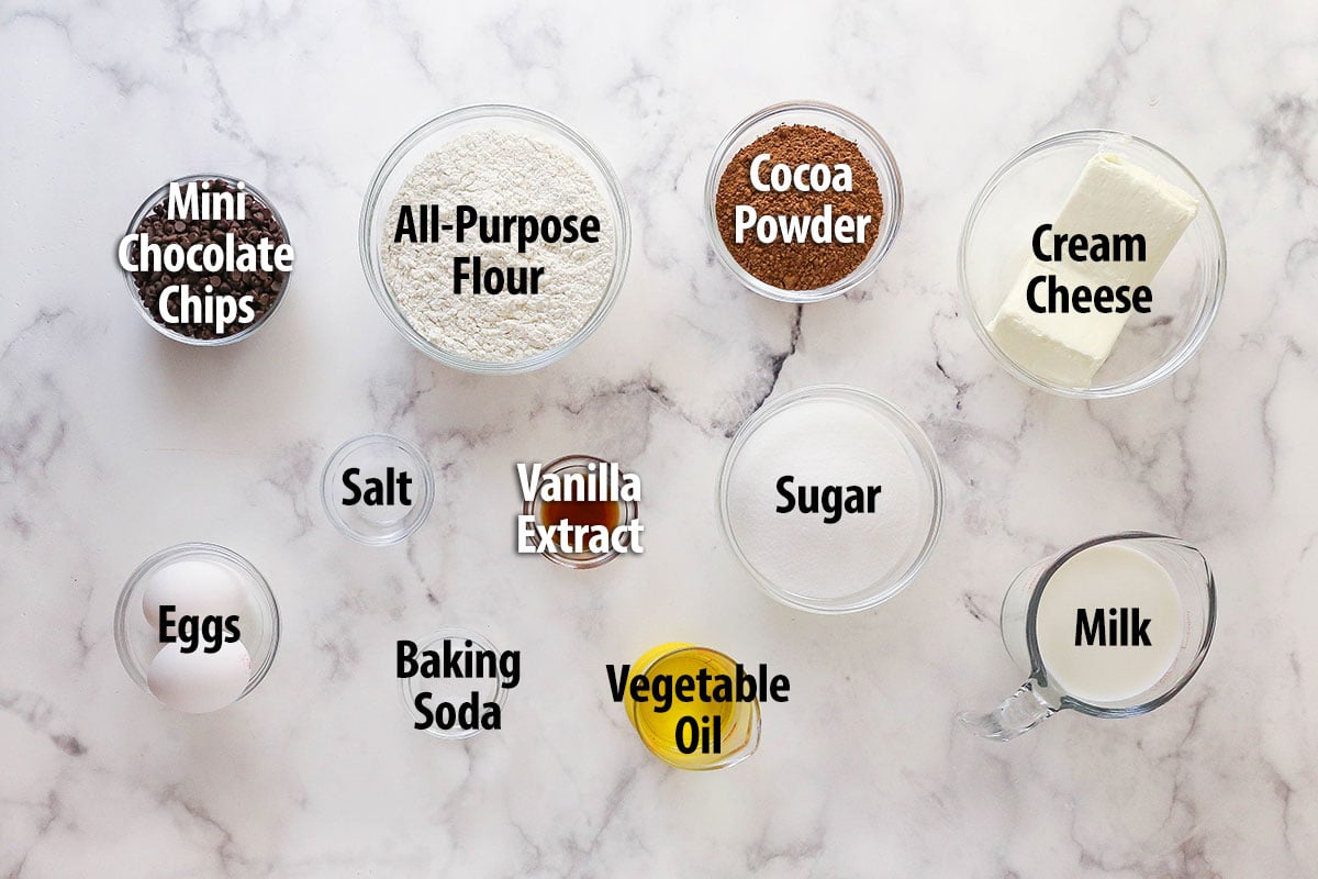 These Black Bottom Cupcakes combine two desserts in one with a rich chocolate cupcake and a creamy chocolate chip cheesecake filling. Overhead view of ingredients necessary to make black bottom cupcakes