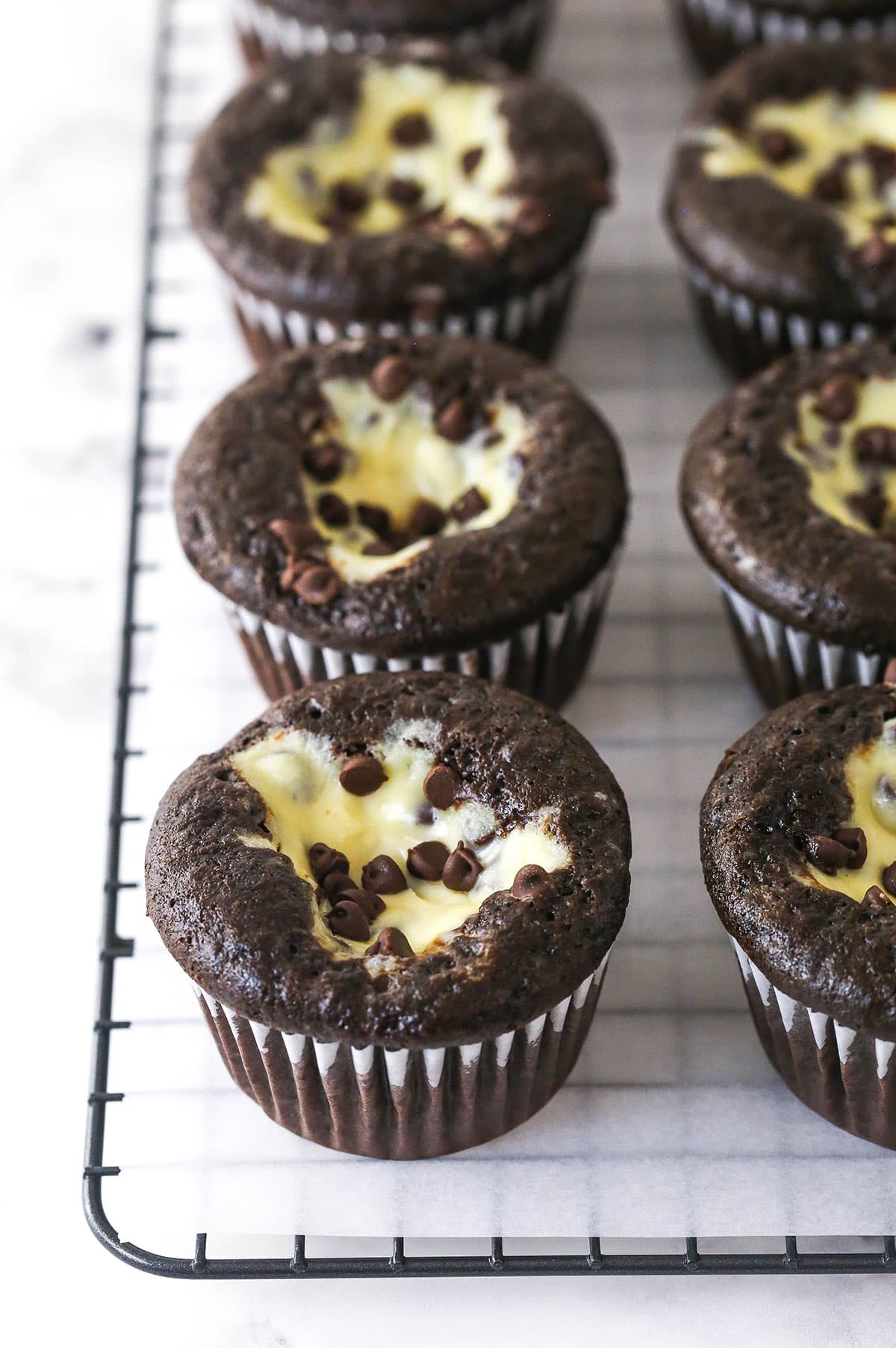 These Black Bottom Cupcakes combine two desserts in one with a rich chocolate cupcake and a creamy chocolate chip cheesecake filling. Black bottom cupcakes on a wire rack
