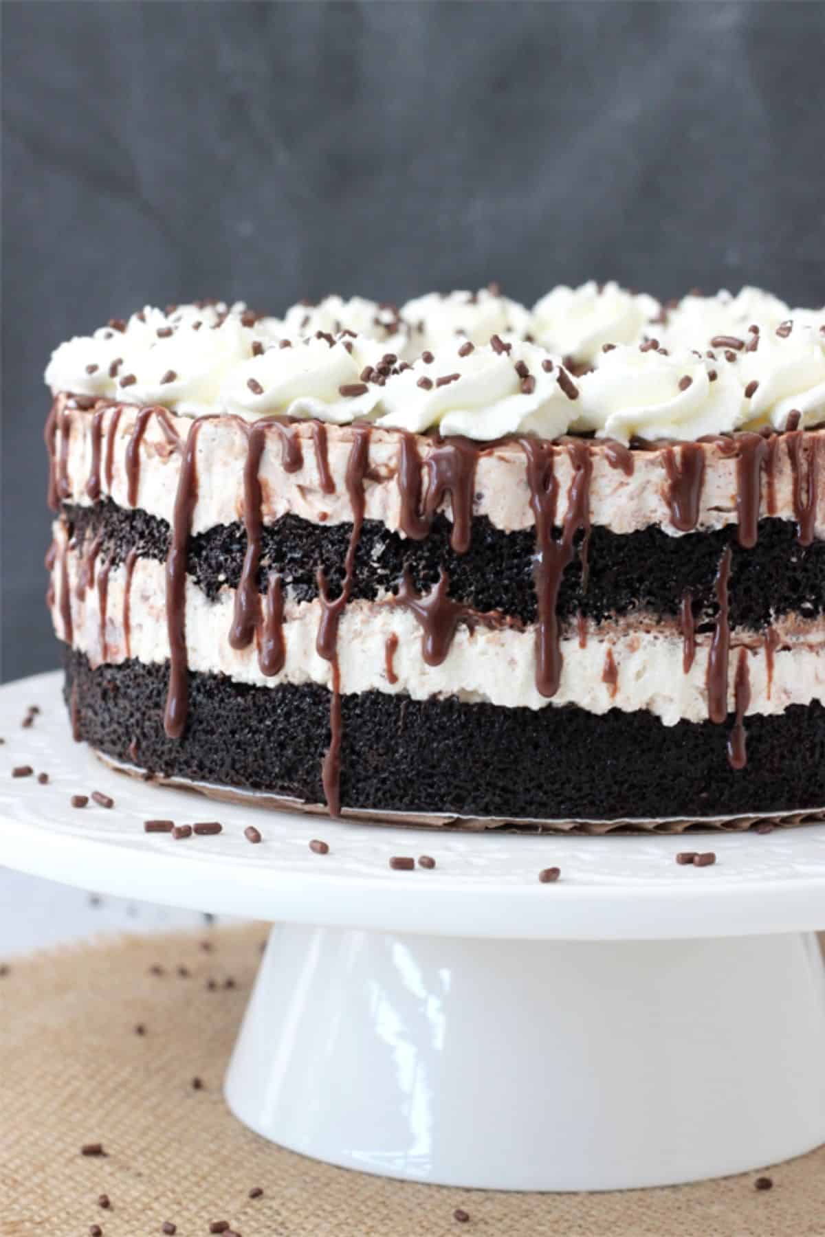 Side view of a hot fudge swirl ice cream cake on a white cake stand.