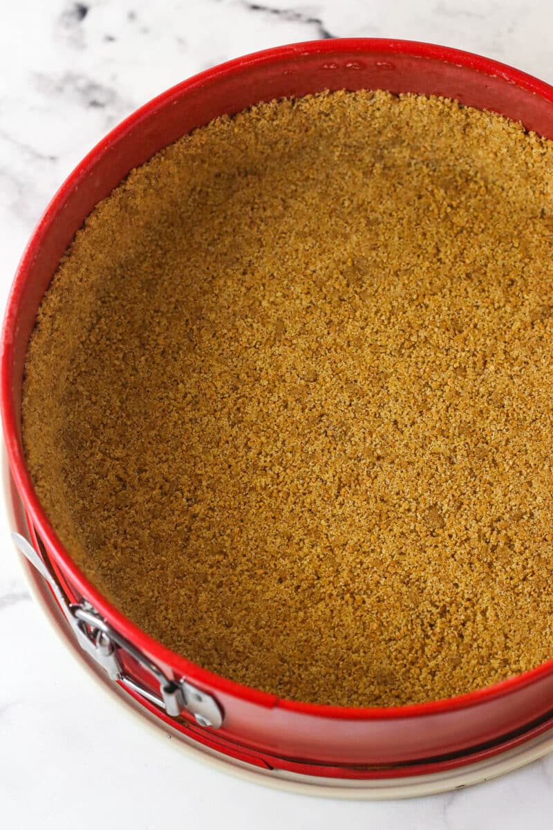 crust pressed into springform pan