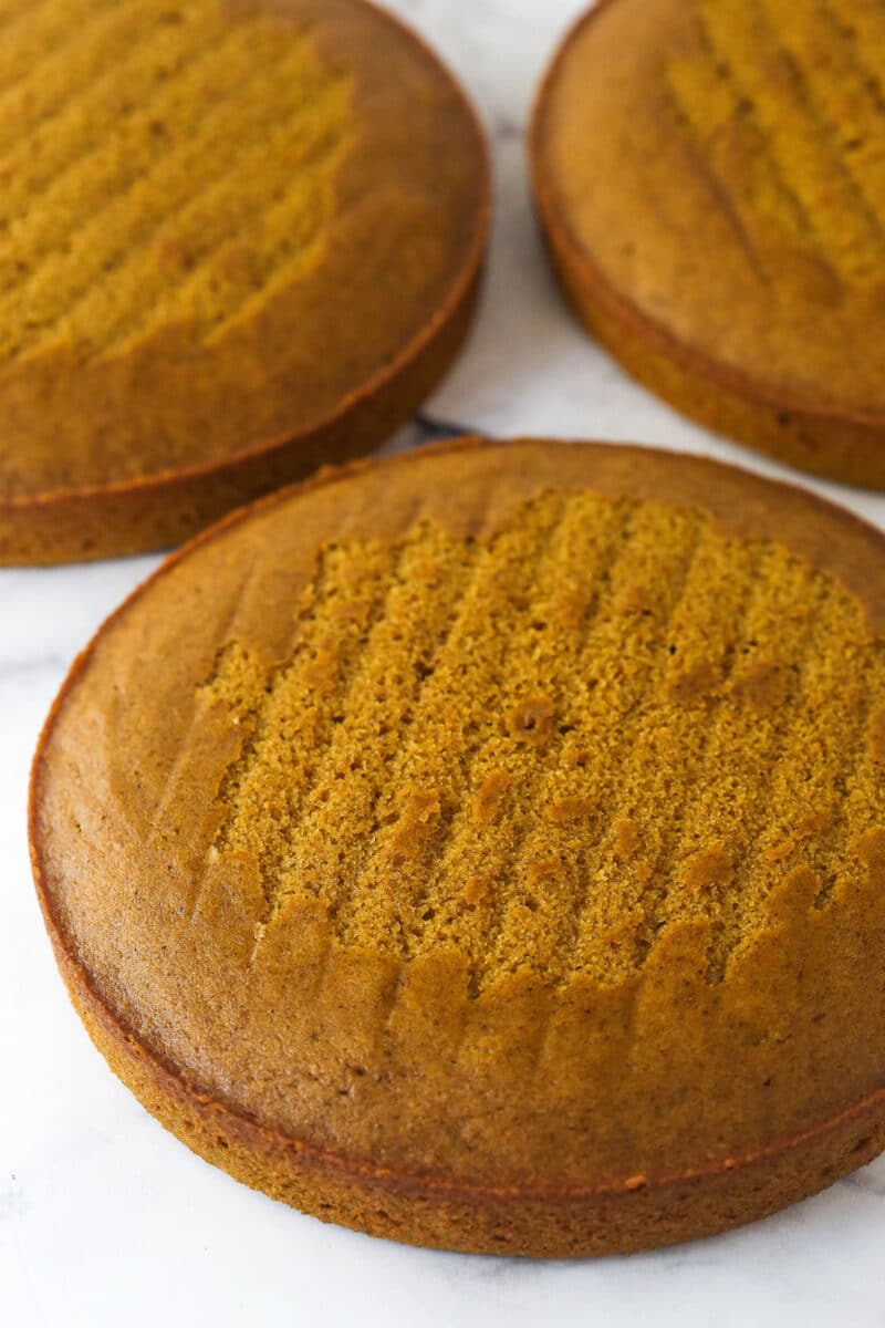 With layers of pumpkin cake, pecan praline crunch, and a caramel buttercream, this pecan praline pumpkin cake is impressive and delicious. Round pumpkin cakes with the dome removed