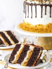 A slice of S'mores Cake with a fork on a white plate and the remaining S'mores Cake on a cake stand
